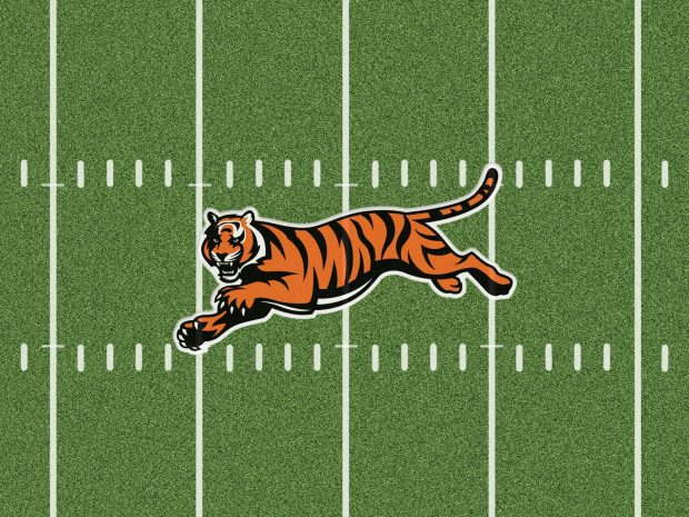 HD Cincinnati Bengals Backgrounds.