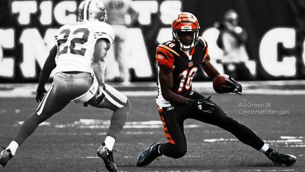 HD Cincinnati Bengals Image.