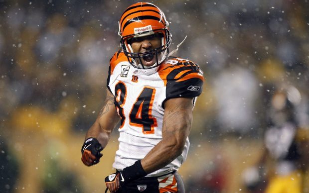 HD Cincinnati Bengals Pictures.