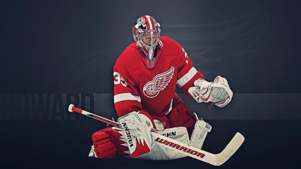 HD Detroit Red Wings Photo.