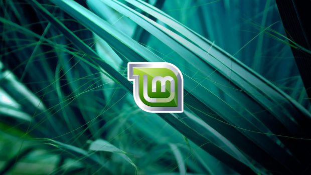 HD Linuxmint Photo.