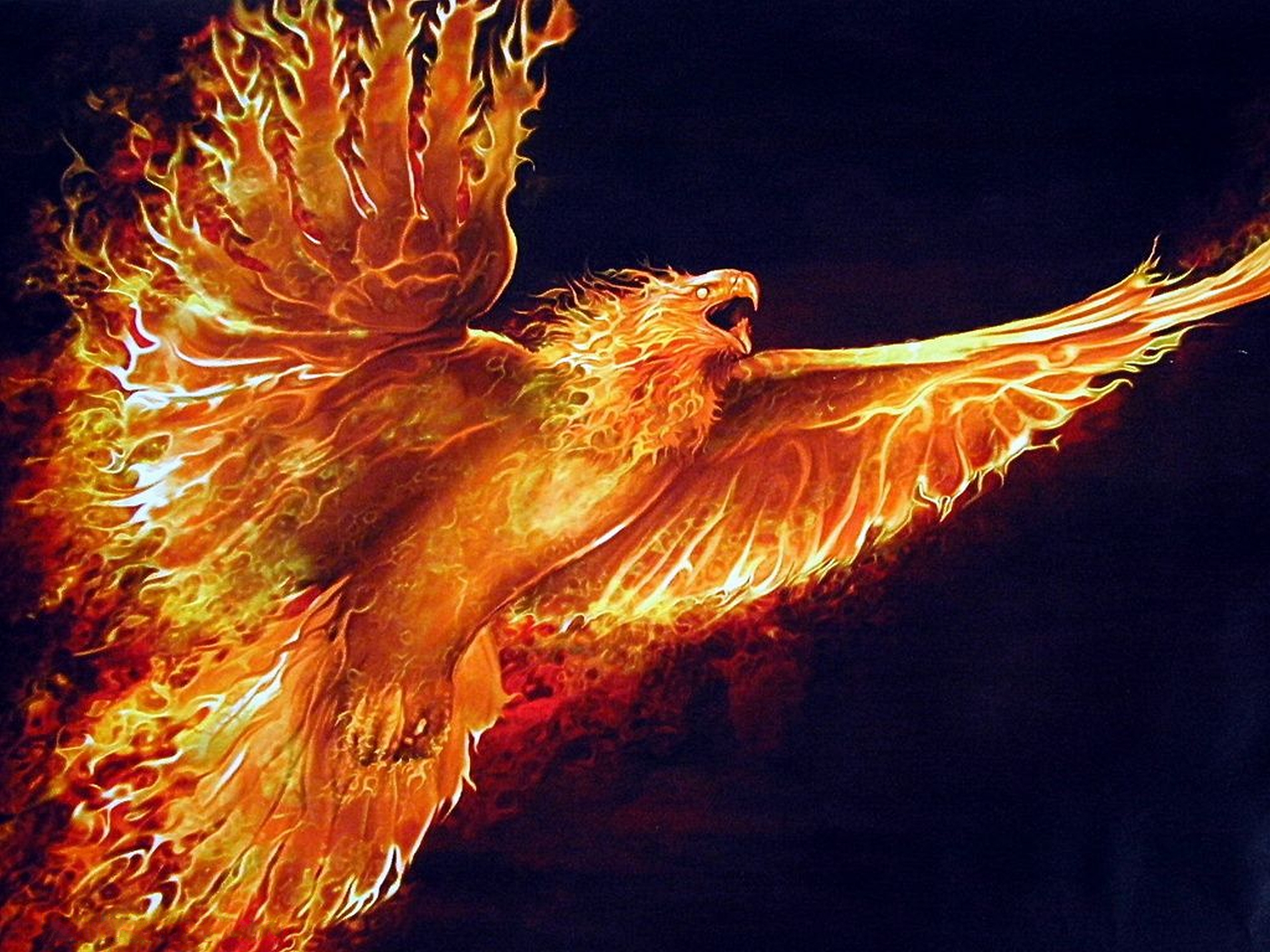 Phoenix Bird Wallpapers Free Download 