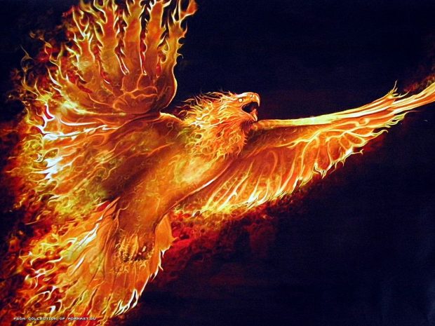 HD Phoenix Bird Wallpaper.