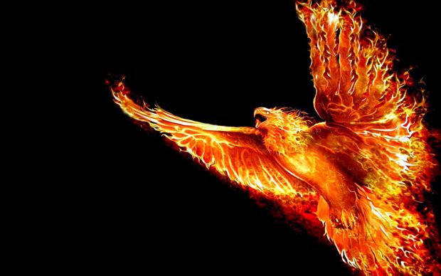 HD Phoenix Bird Wallpapers.