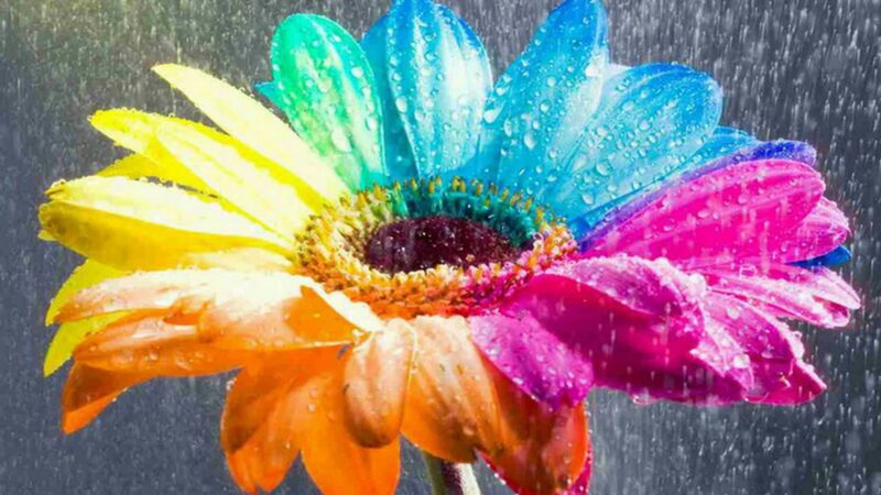 Pretty Colorful Desktop Backgrounds - PixelsTalk