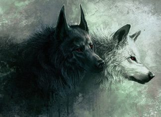 HD Werewolf Images.