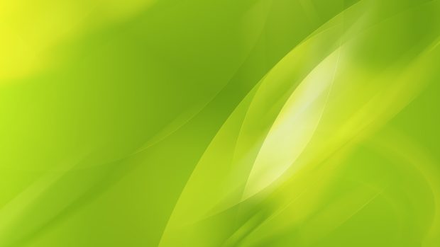 Lime Green HD Background.