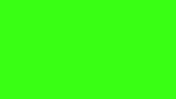 Lime Green HD Image.