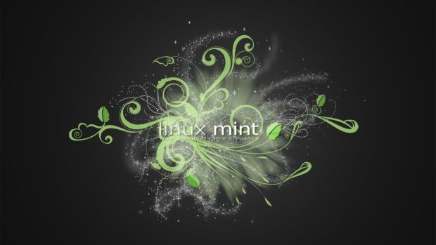 Linuxmint Desktop Photo.