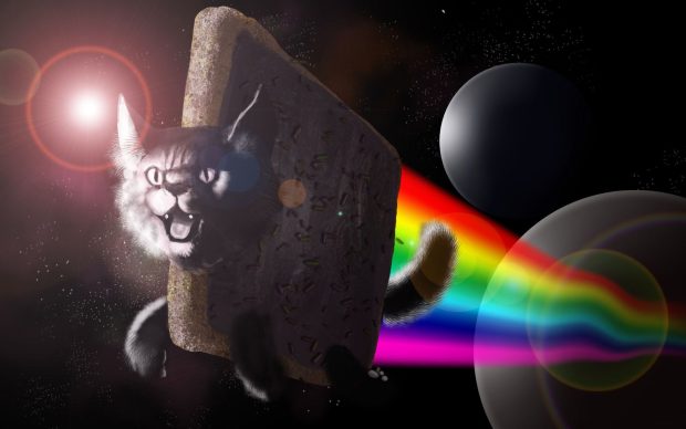 Nyan Cat HD Images.