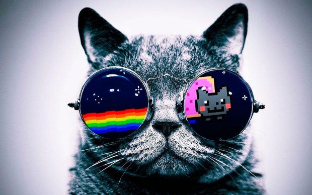 Nyan Cat HD Wallpapers.