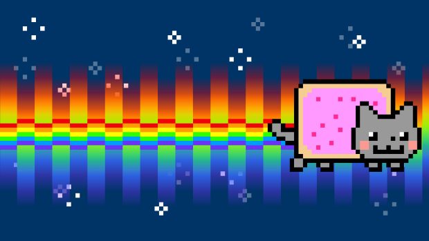 Nyan Cat Photo.