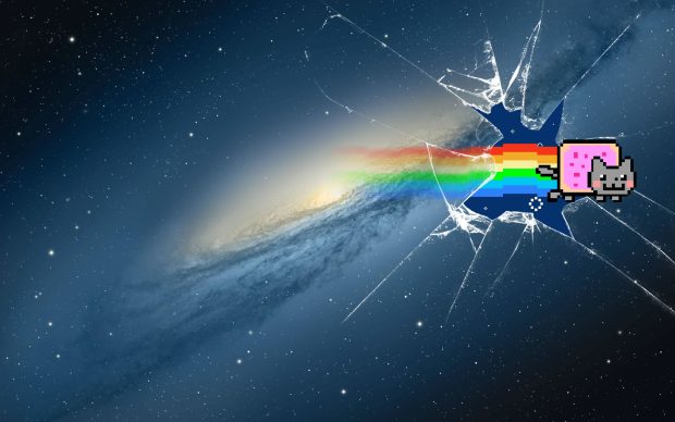 Nyan Cat Photos.