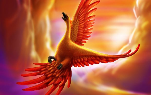 Phoenix Bird Background HD.