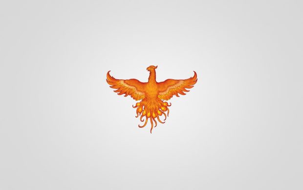 Phoenix Bird HD Backgrounds.