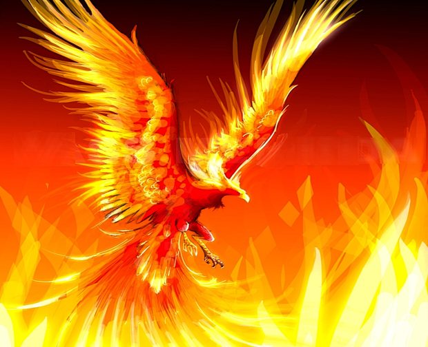 Phoenix Bird HD Image.