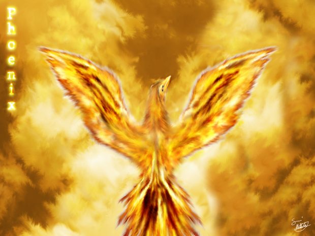 Phoenix Bird HD Picture.