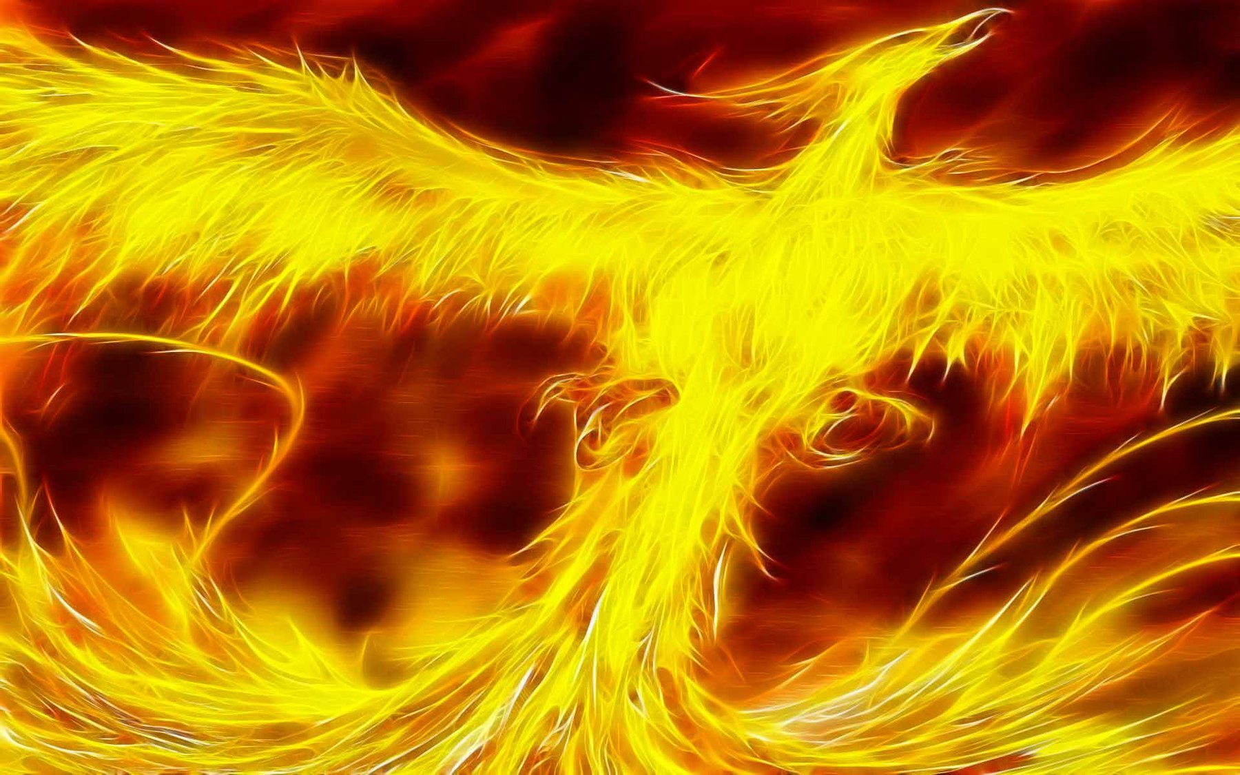 If you see some Phoenix Bird Wallpapers Free Download you’d like to use