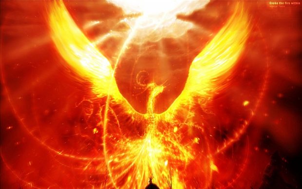 Phoenix Bird Wallpaper HD.