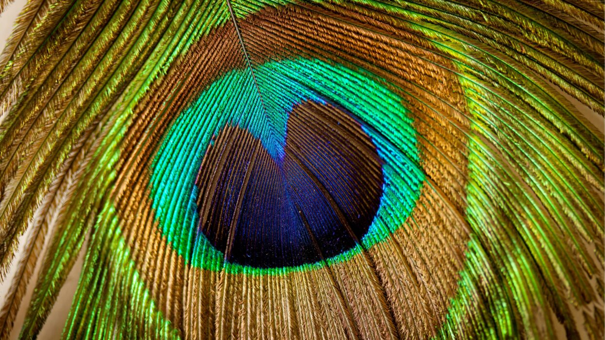 Best 8k Images - PixelsTalk