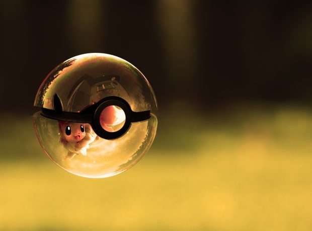 Pokeball HD Picture.