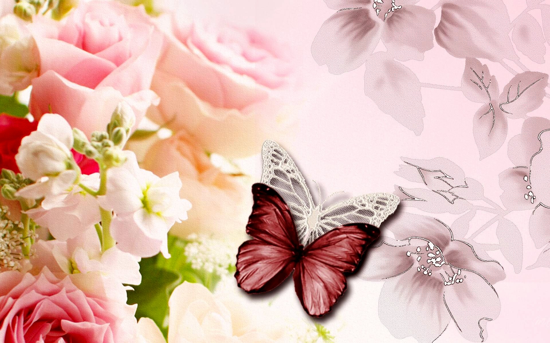 Бабочка на розовом цветке без смс