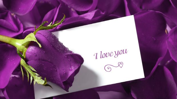 Purple lily and card 1080 hd love wallpapers.
