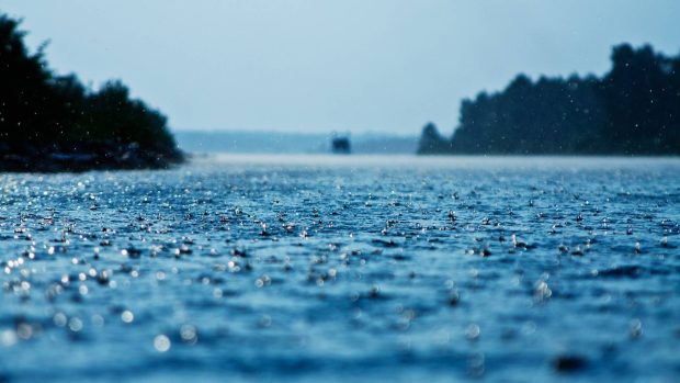 Rain nature hd wallpaper 1080p.