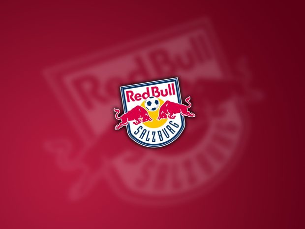 Red Bull Logo Photo HD.