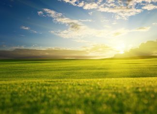 Sunrise Images HD.