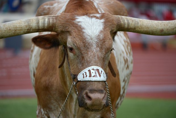 Texas Longhorns Football HD Images.