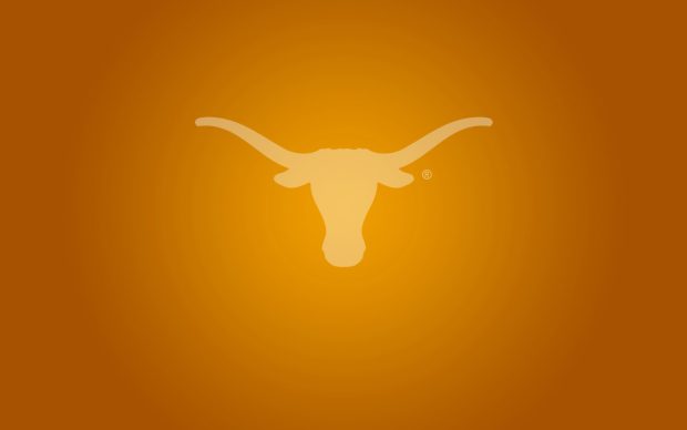 Texas Longhorns Football HD Photos.