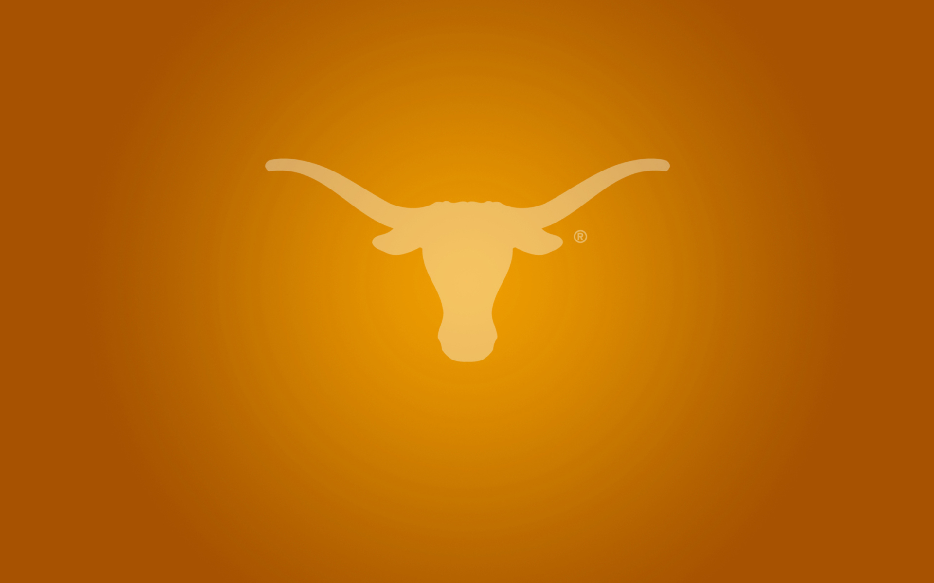 Texas Longhorns Wallpapers  Top Free Texas Longhorns Backgrounds   WallpaperAccess