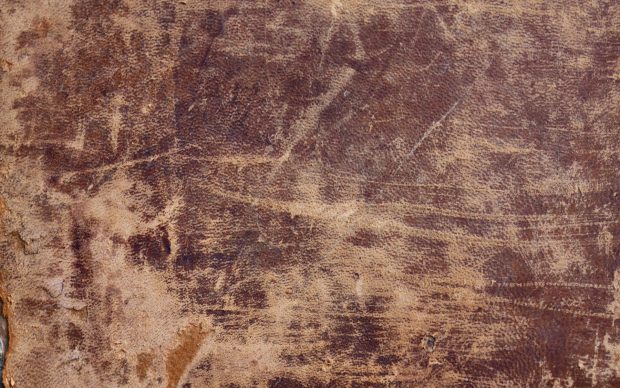 Texture cover book leather antique wallpaper textured.