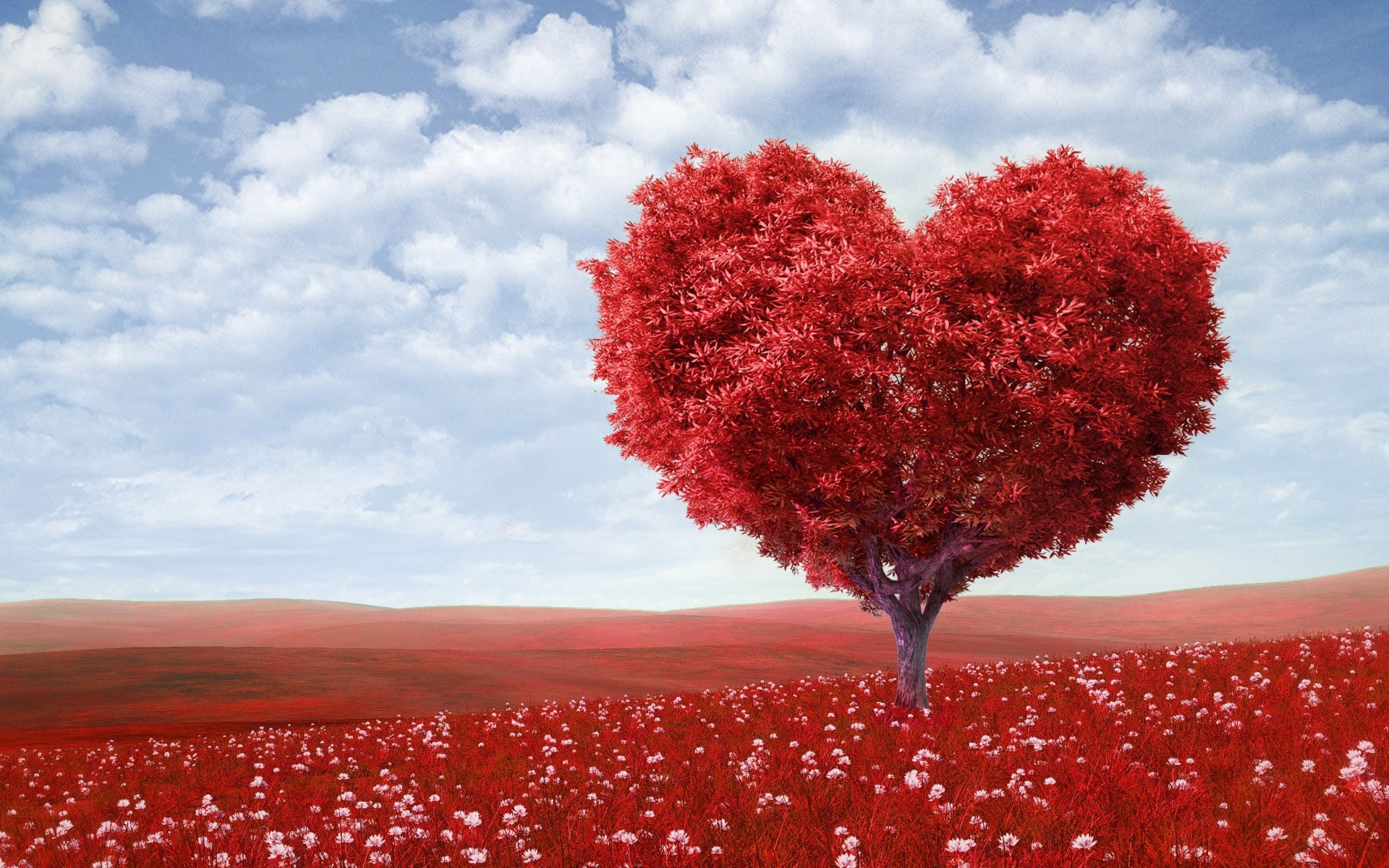 100 Love Wallpapers HD