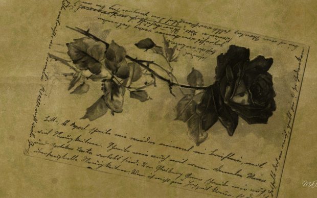 Vintage rose writing paper old flower antique wallpaper flowers.