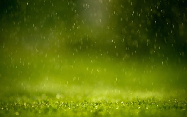 Weather Image.