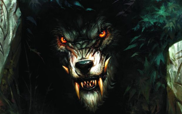 Werewolf HD Wallpaper.