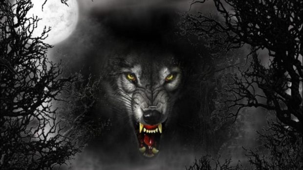 Werewolf Photo.