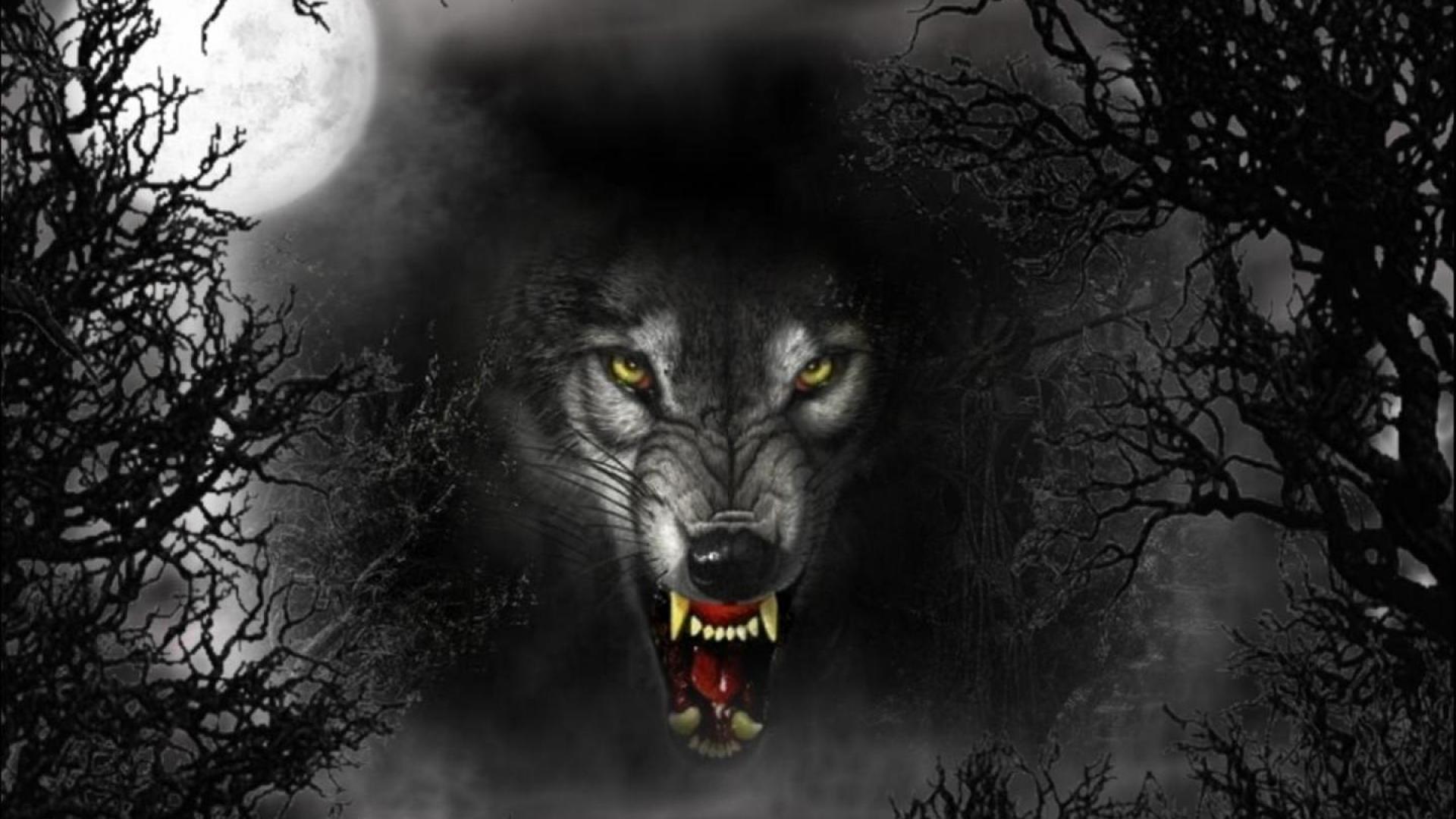 Free Download Werewolf Wallpapers | PixelsTalk.Net