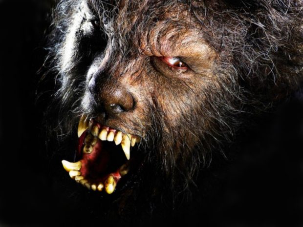 Werewolf Wallpaper Free Download.