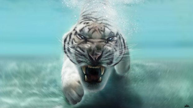 White Tiger Image Download Free.