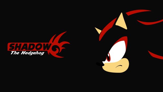 2560x1440 Shadow The Hedgehog Background.