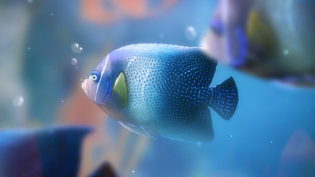 2K UltraHD Aquarium Background.