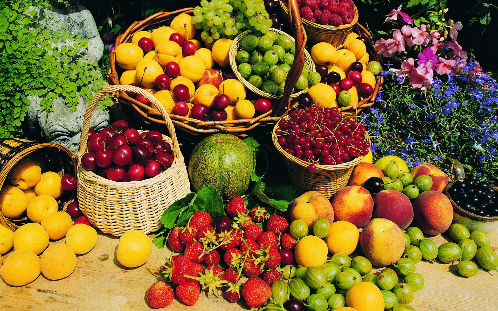 Vegetables Fruits Flowers Wallpaper 1920x1200 67888 Wallpaperup - Bloemen