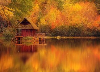 Art Log Cabin Wallpaper.