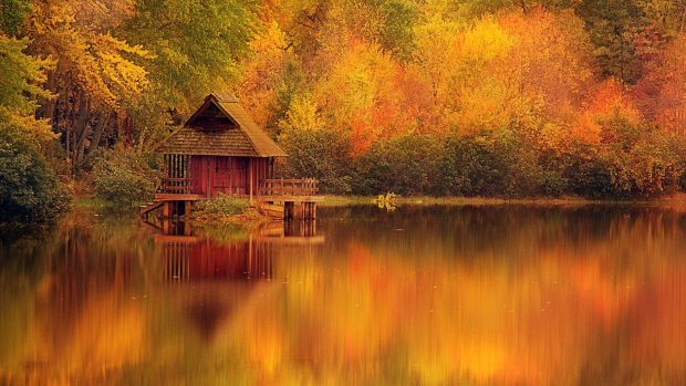 Art Log Cabin Wallpaper.