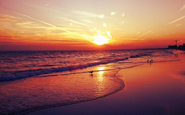 Awesome Sunset Beaches Images.