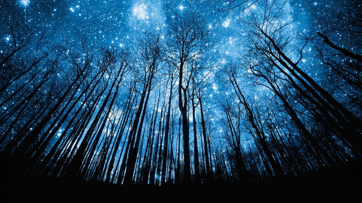 Best New Backgrounds - PixelsTalk