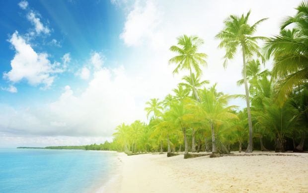 Background Wallpaper Images For Computer.